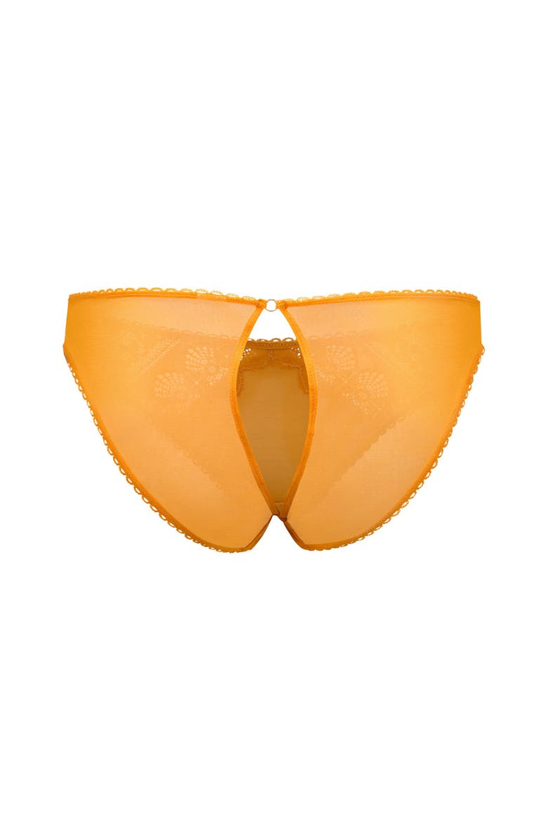 Adore Me Kinley Cheeky Panties, Alternate, color, Medium Orange