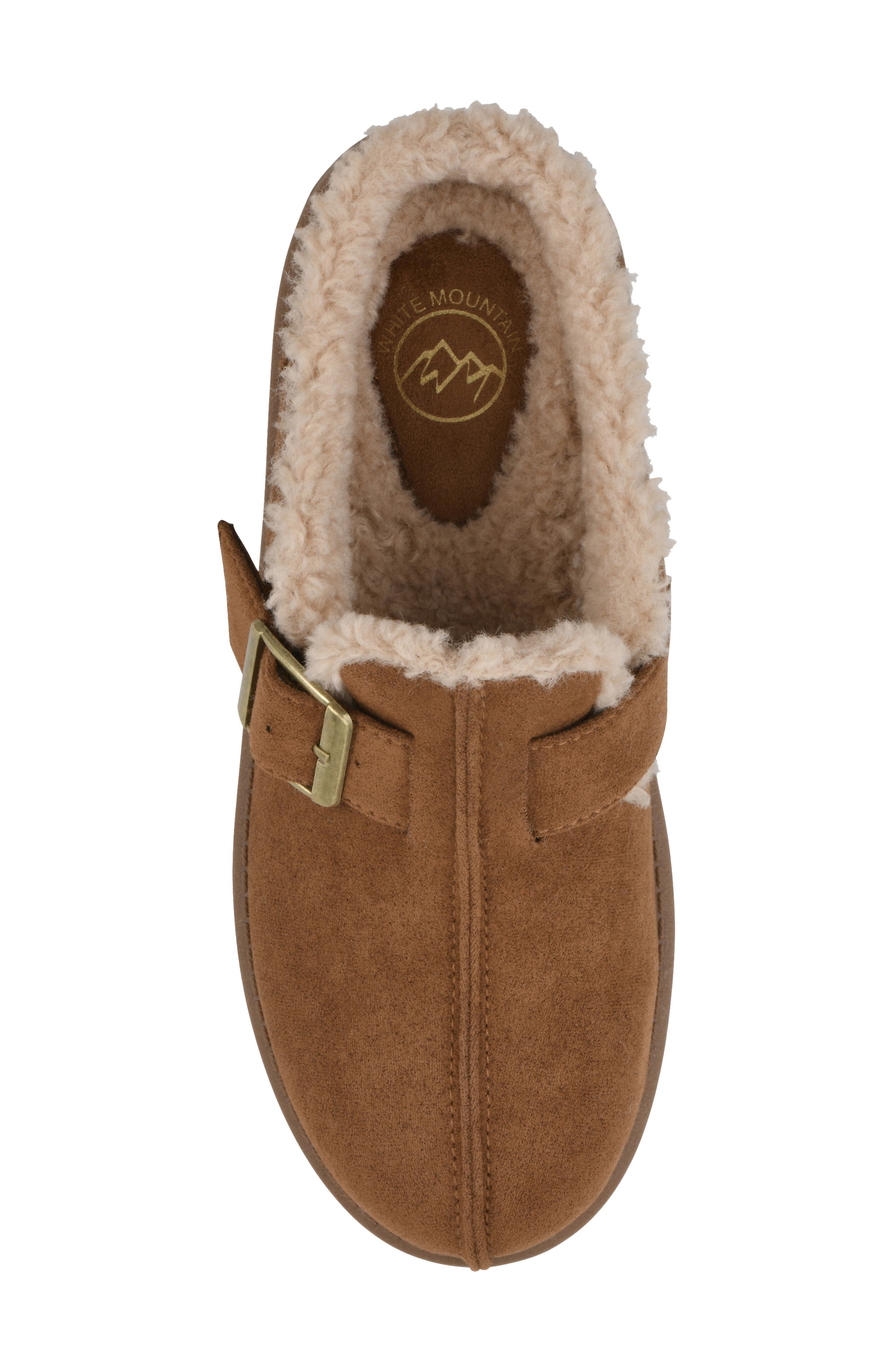 Icecraft Clog, Alternate, color, CHESTNUT