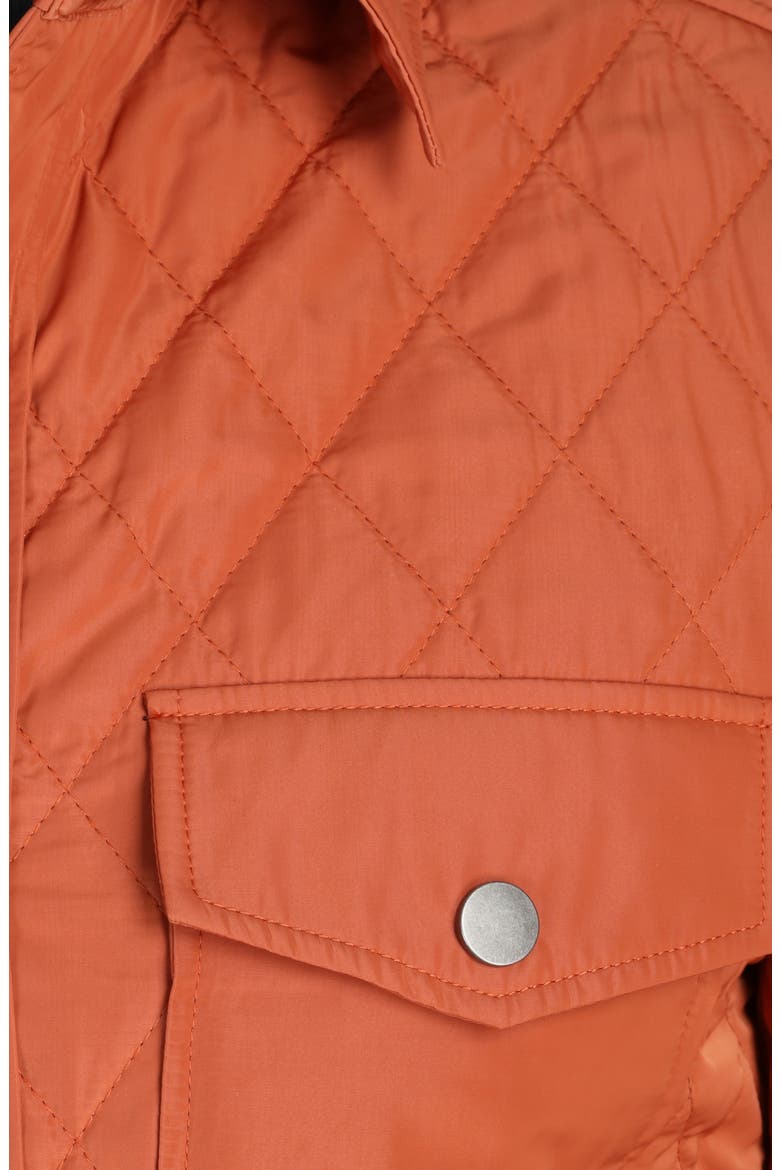 Ryback Water Resistant Jacket, Alternate, color, CLAY