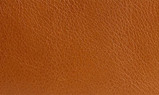 Женские сумки Madewell The Brioche Leather Shoulder Bag — фото 3