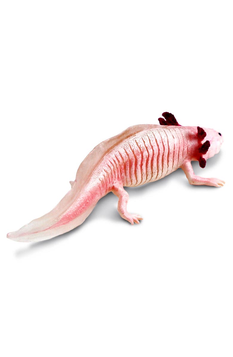 Safari Ltd. Axolotl Toy, Alternate, color, NO COLOR