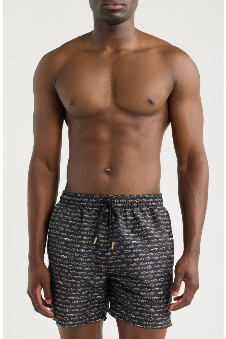 Danio Fish Print Swim Trunks, Main, color, BLACK