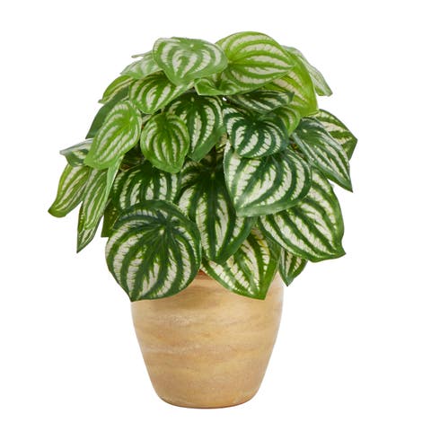 11-in Watermelon Peperomia Artificial Plant in Ceramic Planter (Real Touch)