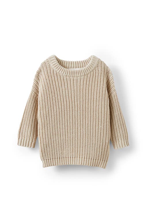 Cotton On Kids Connor Crew Neck Jumper In Neutral