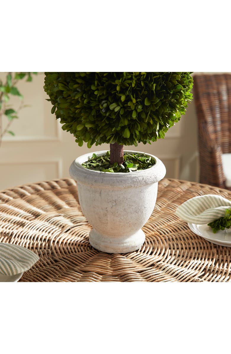 Napa Home & Garden Boxwood Single 11" Ball Topiary In Pot, Alternate, color, Green