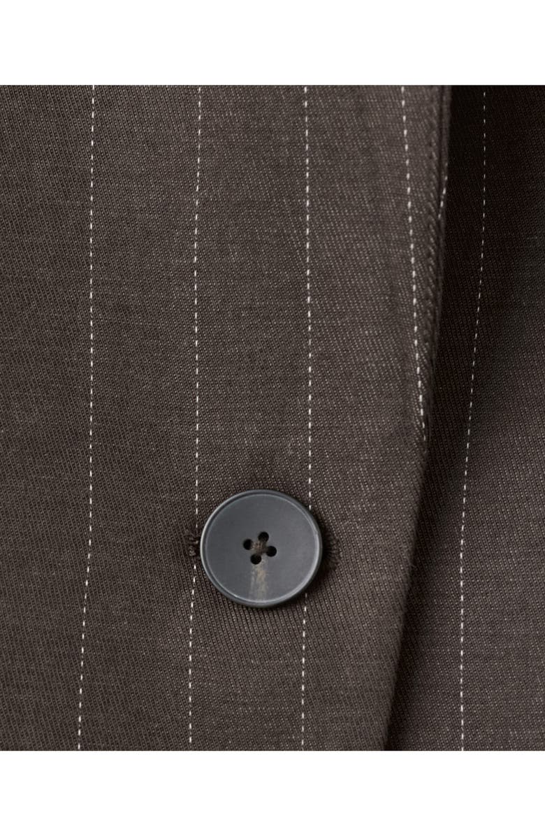 MANGO Pinstripe Suit Blazer, Alternate, color, Chocolate