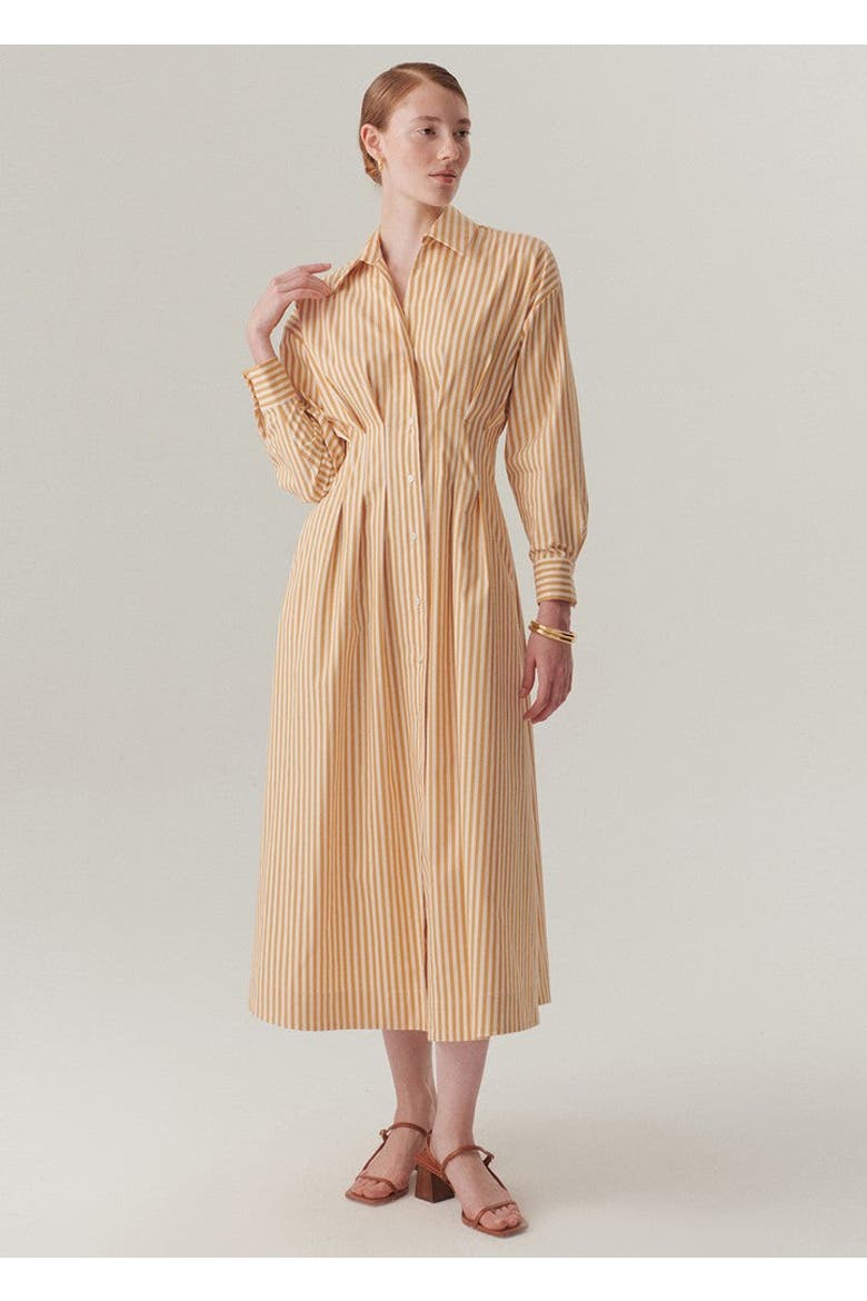 Sutton Collar Midi Dress, Main, color, CAMEL BEIGE