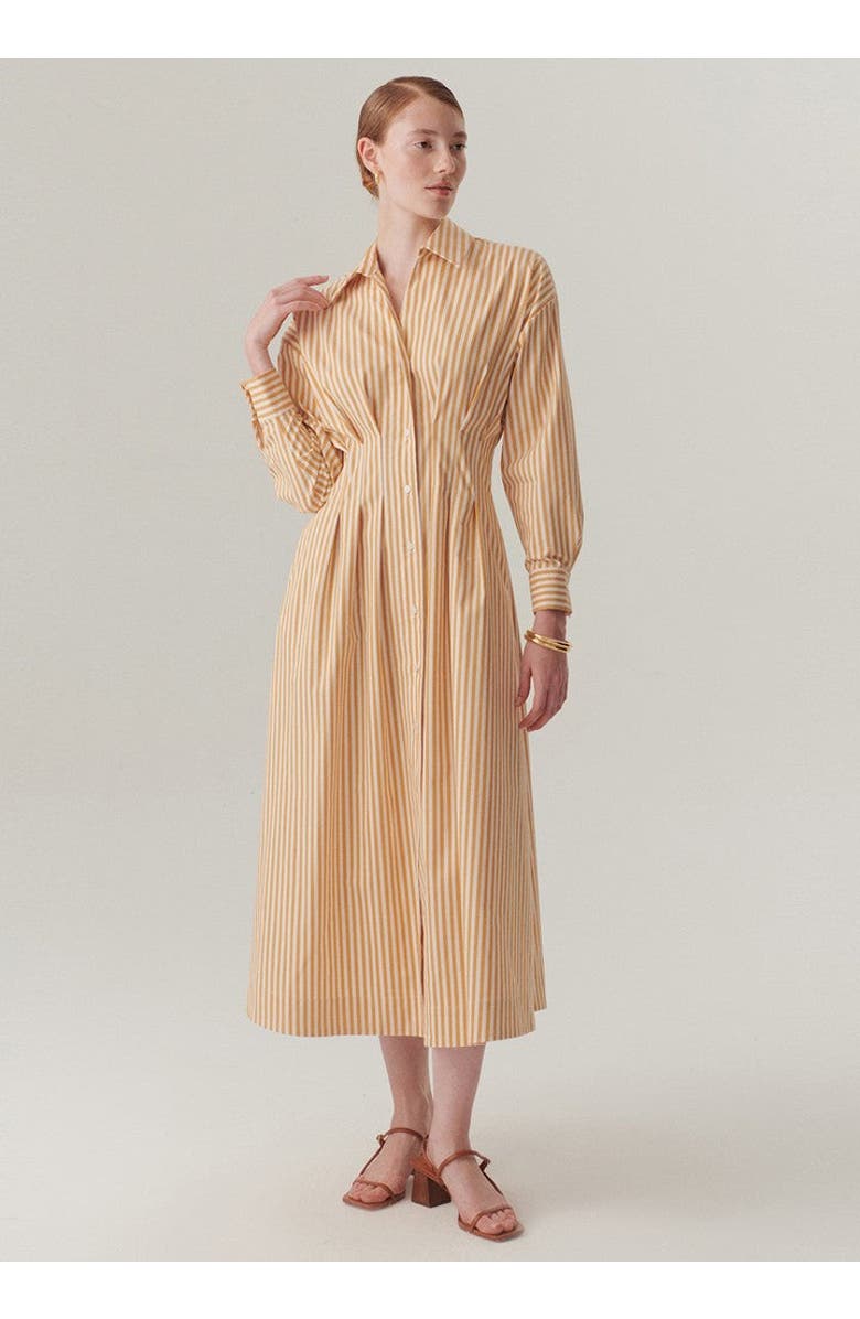 Exquise Waist Shirt Collar Midi Dress, Main, color, Camel Beige