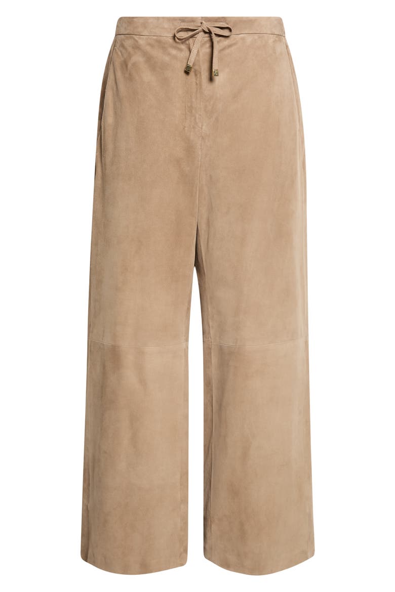 Tempio Suede Straight Leg Leather Pants, Alternate, color, COLONIAL