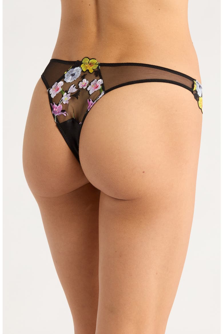 Eden Embroidered Silk Blend Bikini Briefs, Alternate, color, BLACK