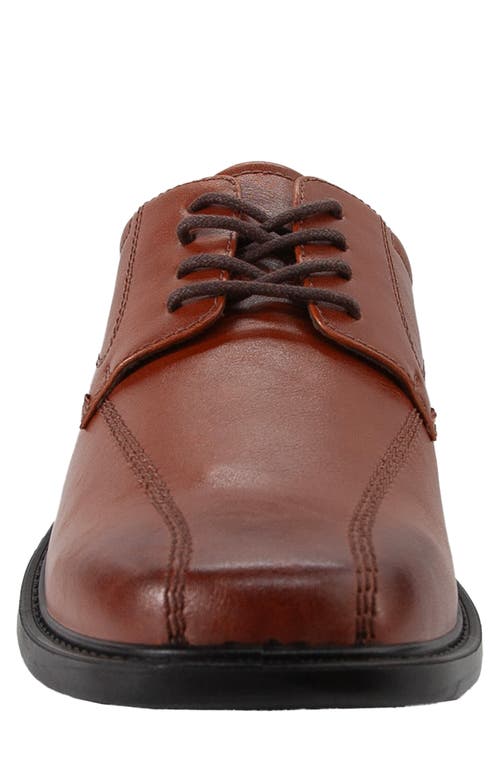 Deer Stags Easton Supro Derby In Brown