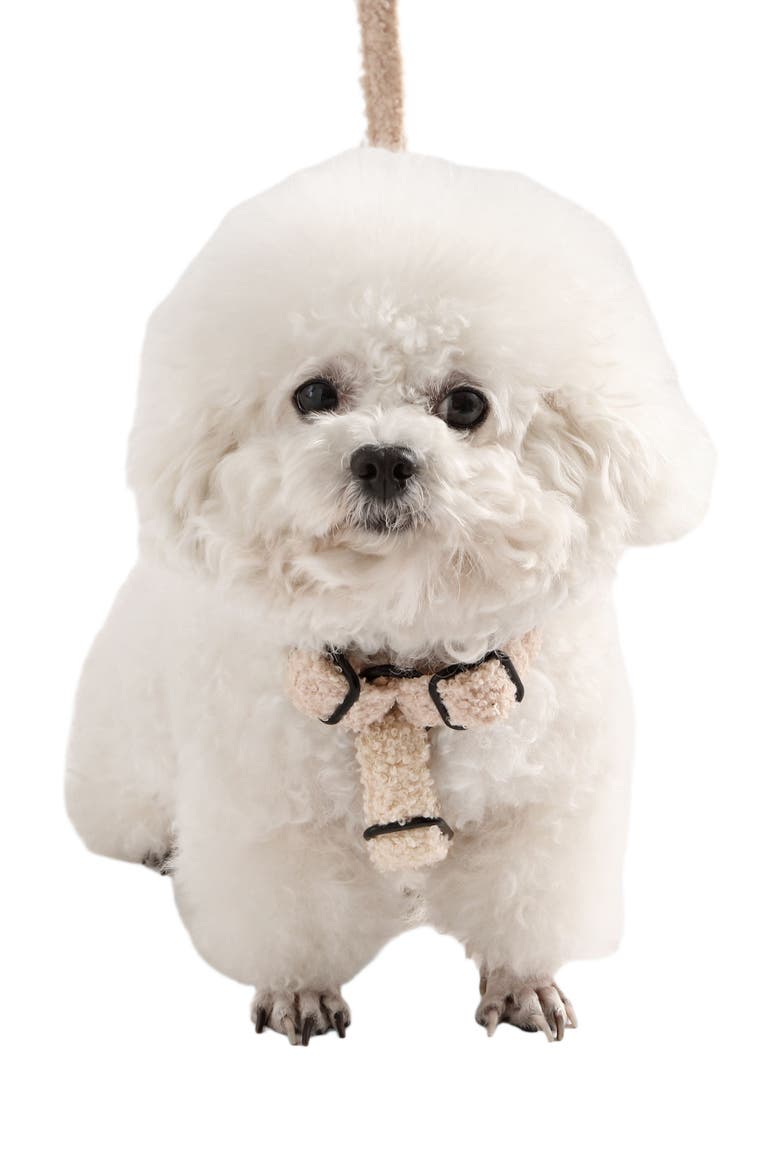 Teddy Bouclé Adjustable H Harness and Leash Walk Set with Poop Bag Pouch, Alternate, color, Beige