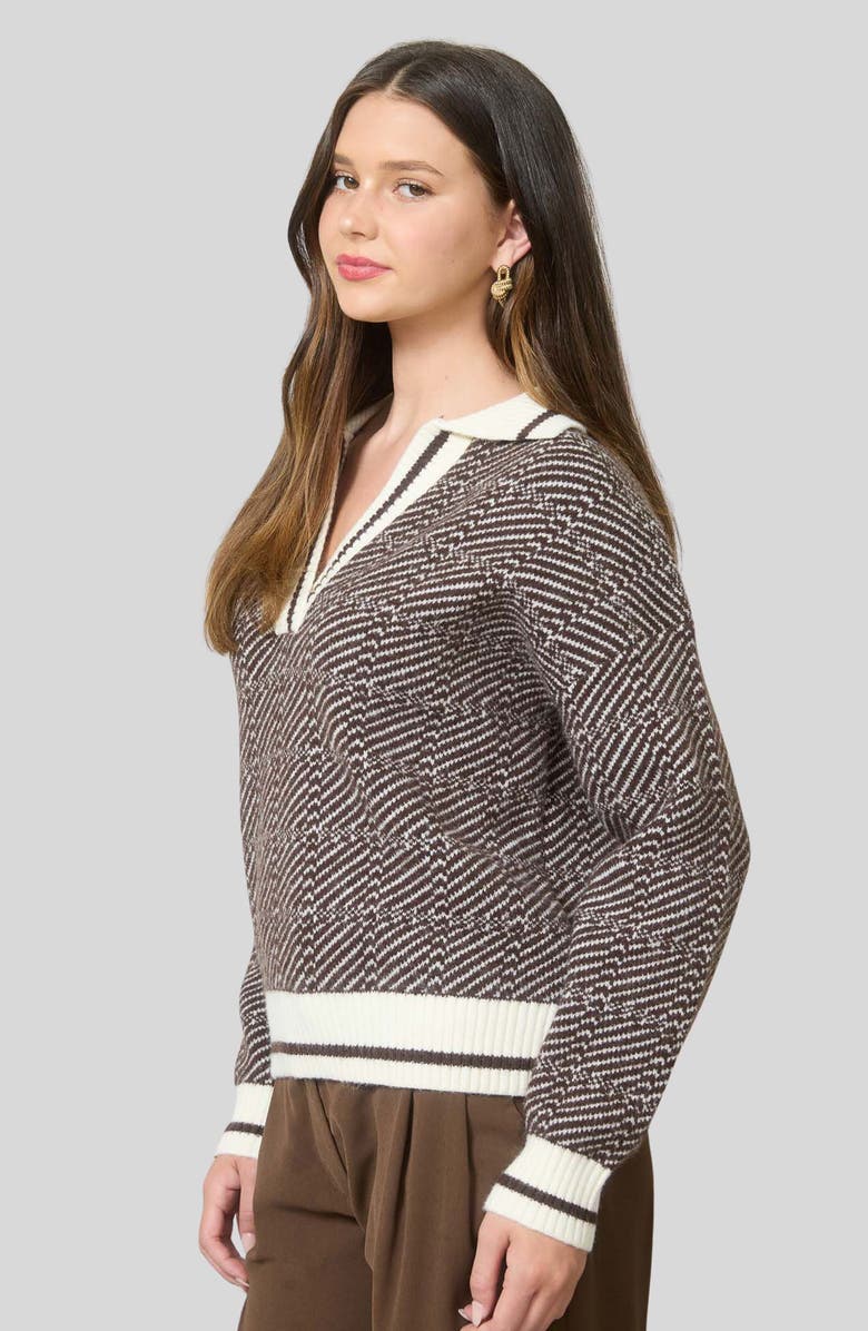 Blu Pepper Split Johnny Collar Sweater, Alternate, color, Brown