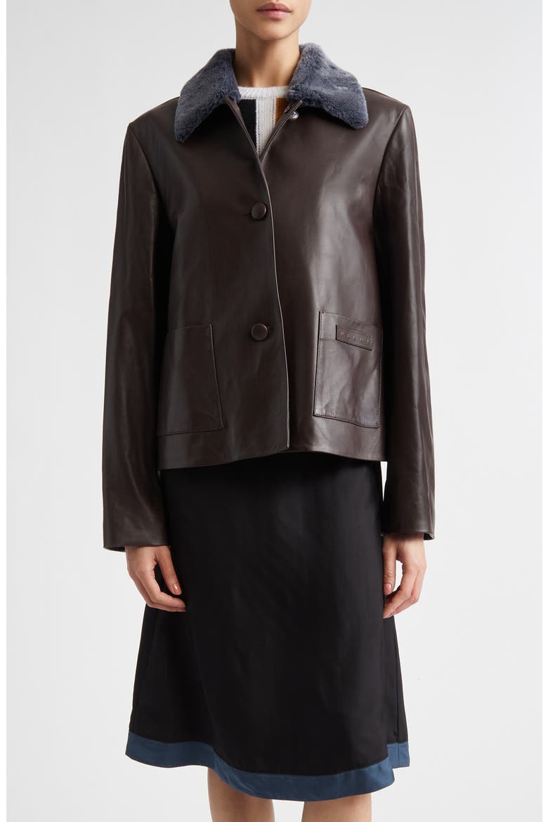 Leather Jacket with Genuine Shearling Collar, Main, color, CHOCOLATE