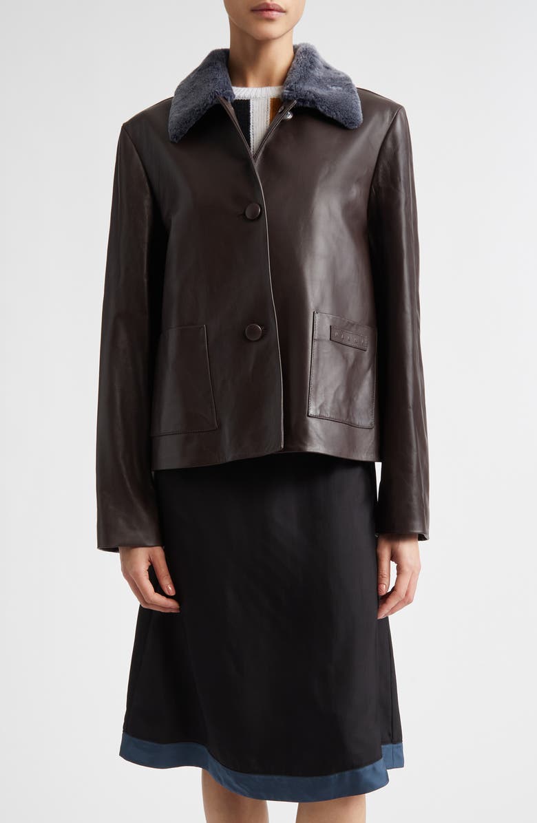 Marni Leather Jacket with Genuine Shearling Collar, Main, color, Chocolate