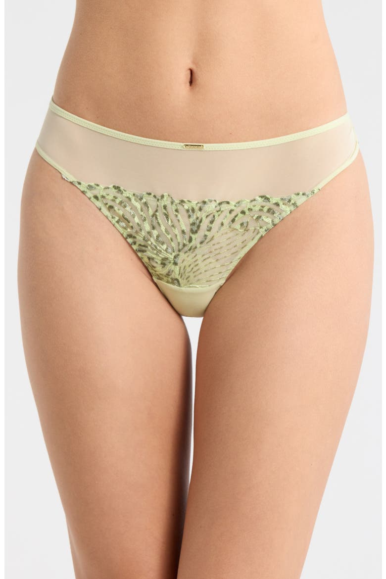 Legend Embroidered Tulle Thong, Main, color, WILD PISTACHIO