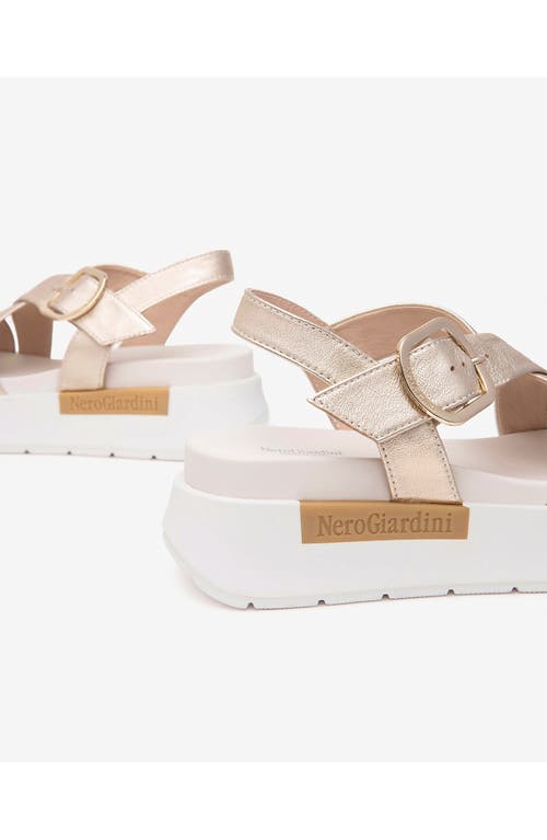 Nerogiardini Slingback Platform Sandal In Gold