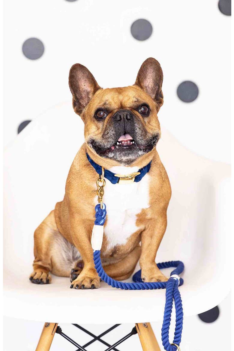 Tatum Rope Dog Leash, Alternate, color, Tatum 4ft