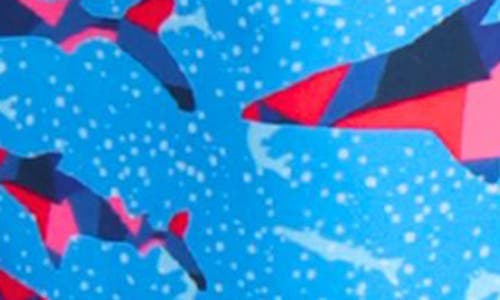 Tailorbyrd Shark Print Swim Trunks In Blue