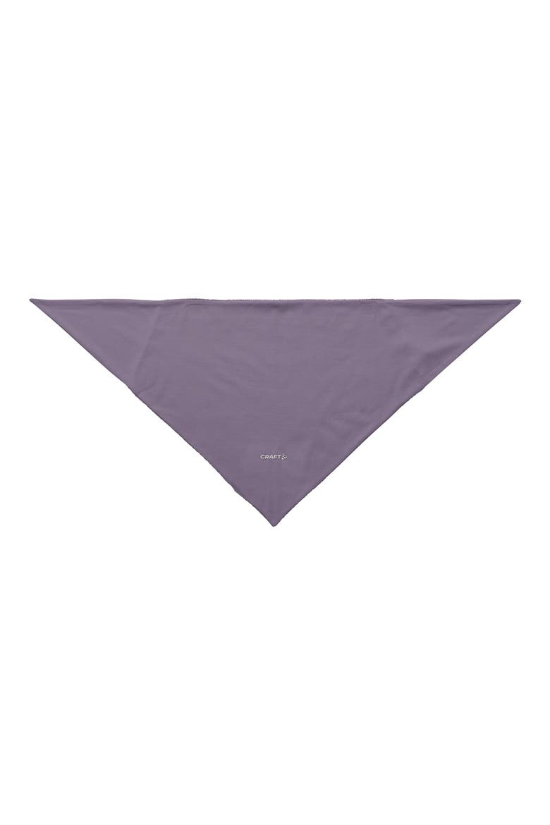 SubZ Recycled Polyester Bandana, Main, color, CADET