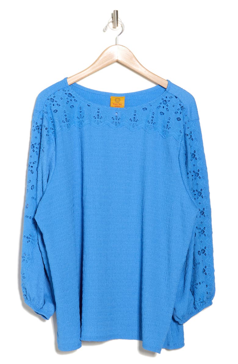 RUBY RD Embroidered Eyelet Long Sleeve Textured Top, Alternate, color,