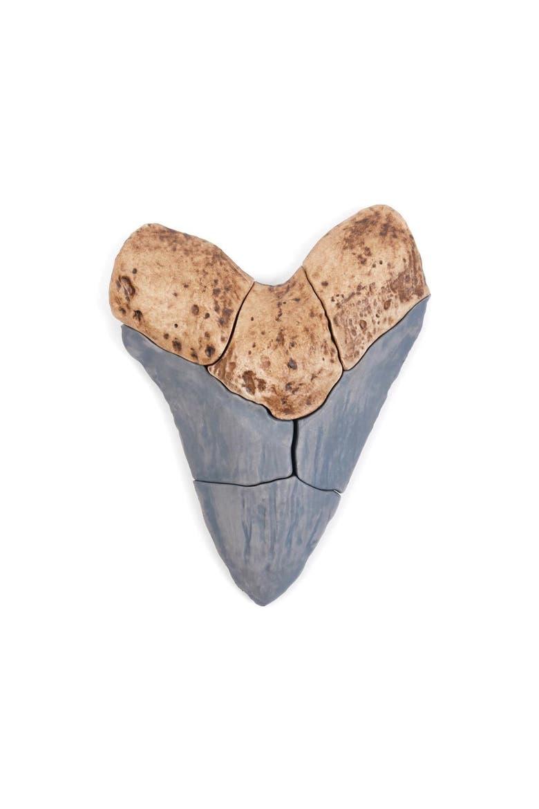 Magnetic Fossil 3D Puzzle - Megalodon Tooth - 6 Pieces, Alternate, color, Brown
