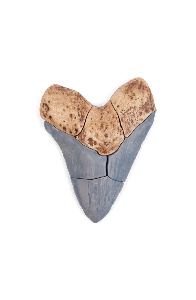 Kaplan Early Learning Company Magnetic Fossil 3D Puzzle - Megalodon Tooth - 6 Pieces, Alternate, color, Brown