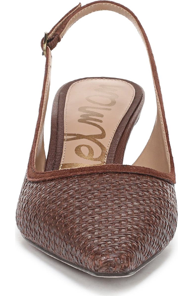 Sam Edelman Bianka Slingback Mesh Pointed Toe Pump, Alternate, color, Bourbon