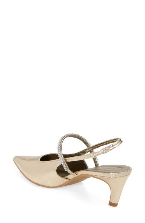 Open Edit Sophia Pointed Toe Slingback Pump