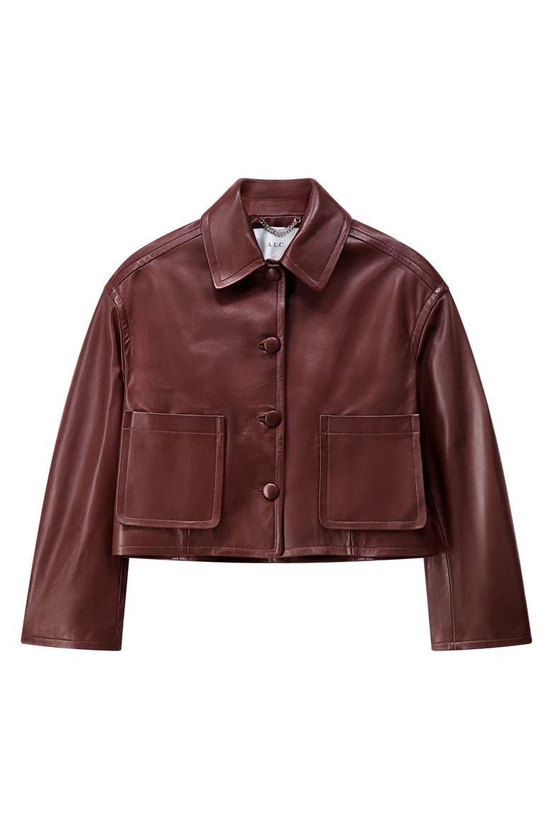 Brooks Leather Jacket, Alternate, color, MILK CHOCOLATE