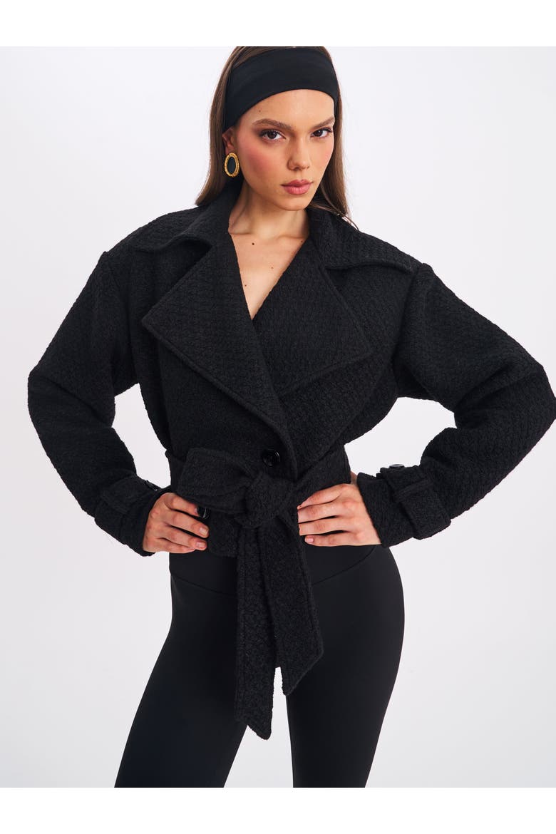 Dara Wool Blend Cropped Double-Breasted Belted Coat, Alternate, color, Black