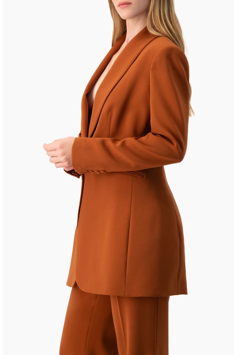 Single-Button Blazer with Tuxedo Lapel, Alternate, color, Chedron