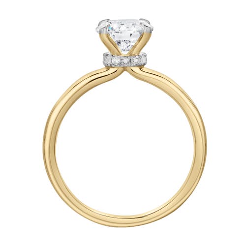 Luvmyjewelry Lila 14k Gold Round Lab Grown Diamond Hidden Halo Ring In 14k Yellow Gold