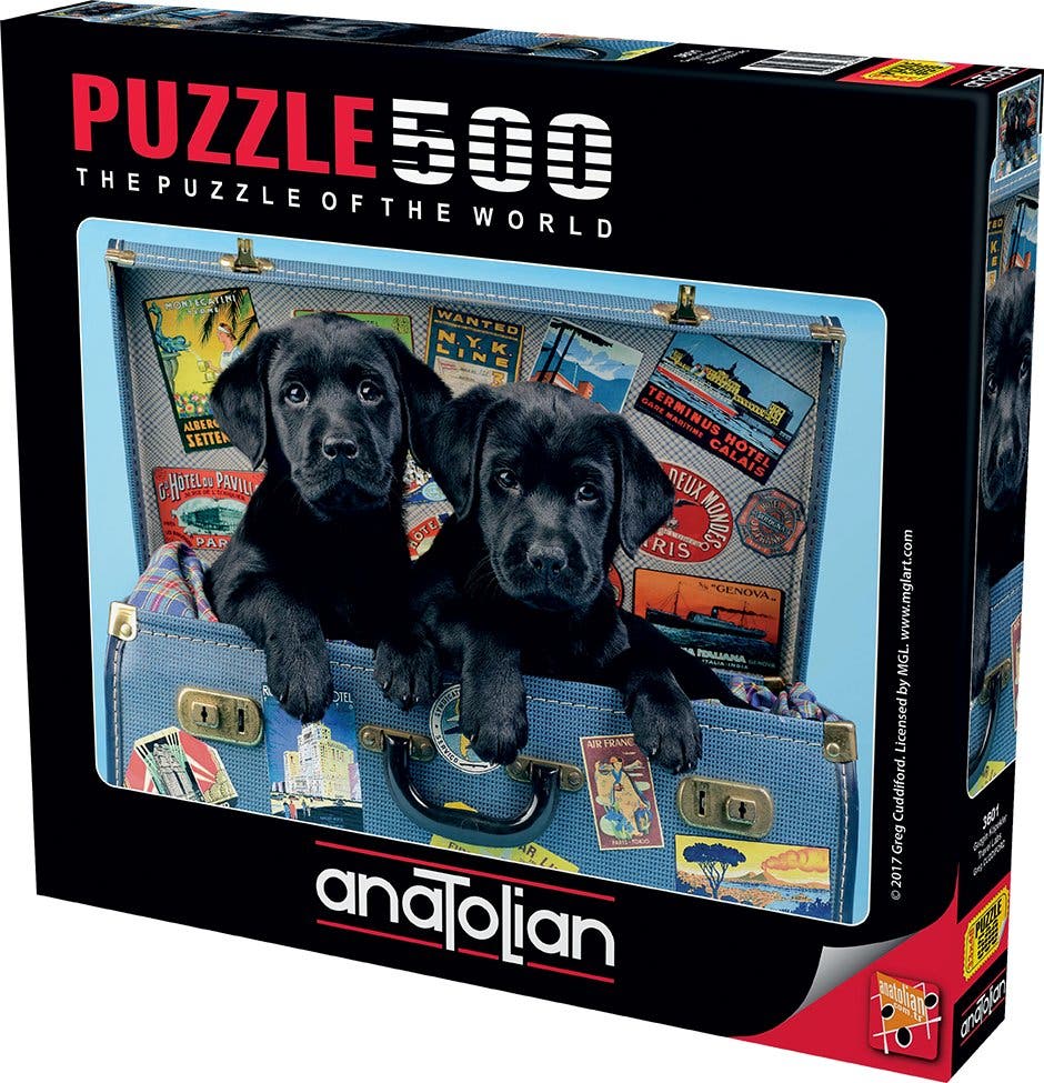 Anatolian Travel Labs 500 piece Jigsaw Puzzle for Adults in Multicolor 