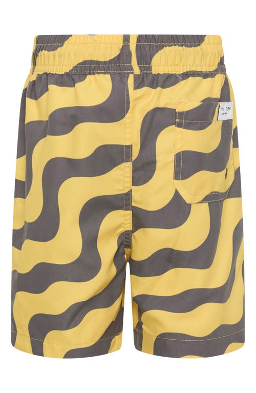 Tiny Tribe Kids' Waves Swim Trunks In Charcoal