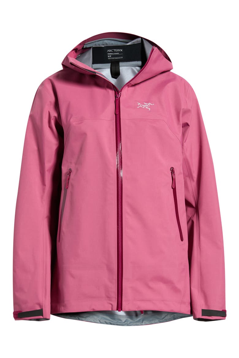 Beta Gore-Tex Waterproof Jacket, Alternate, color, LIGHT RENEGADE