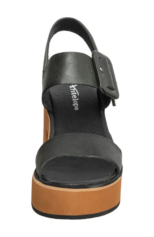 Antelope Ida Block Heel Sandal In Black