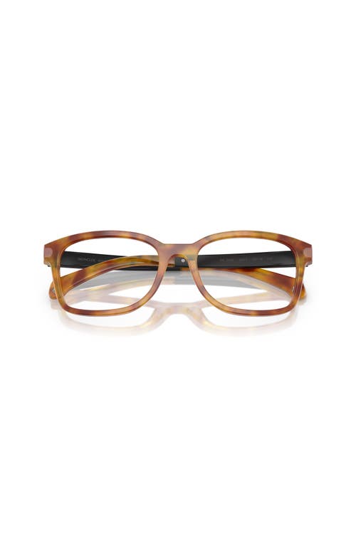 Moncler 54mm Rectangle Optical Glasses In Brown