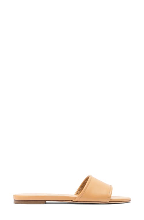 Aeyde Sumi Slide Sandal In Chai