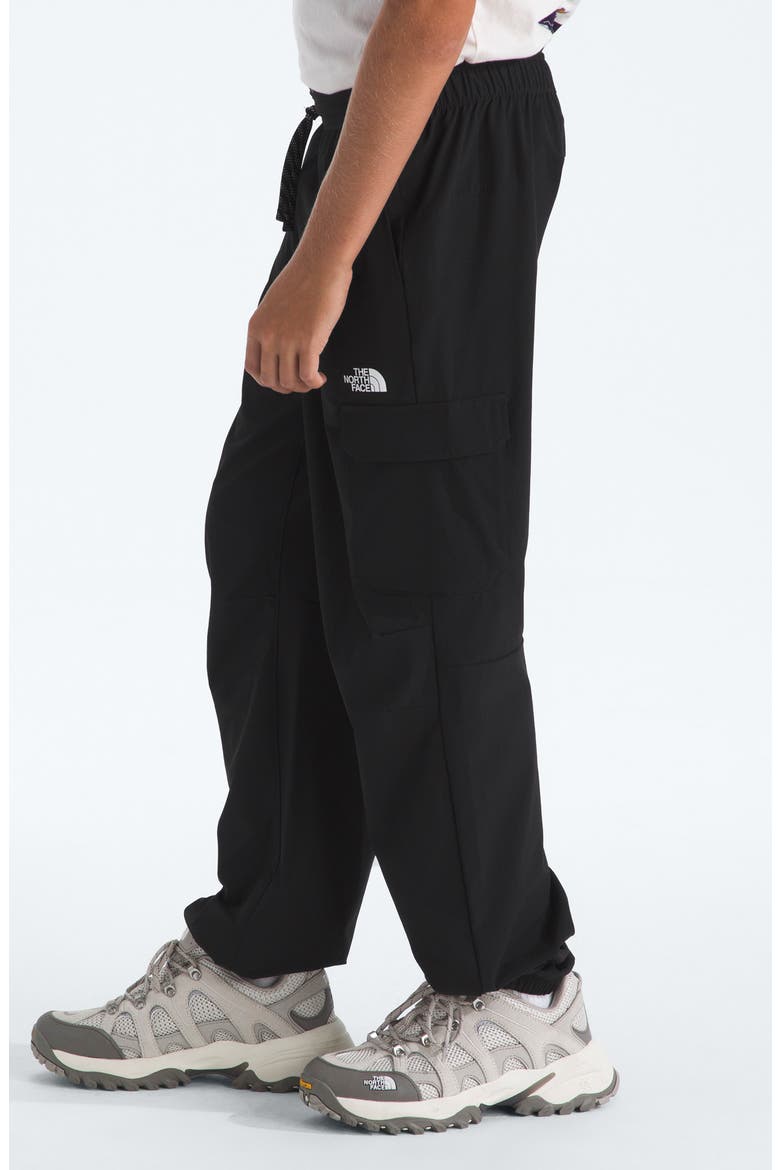 Kids' Zawn Cargo Pants, Alternate, color, TNF BLACK