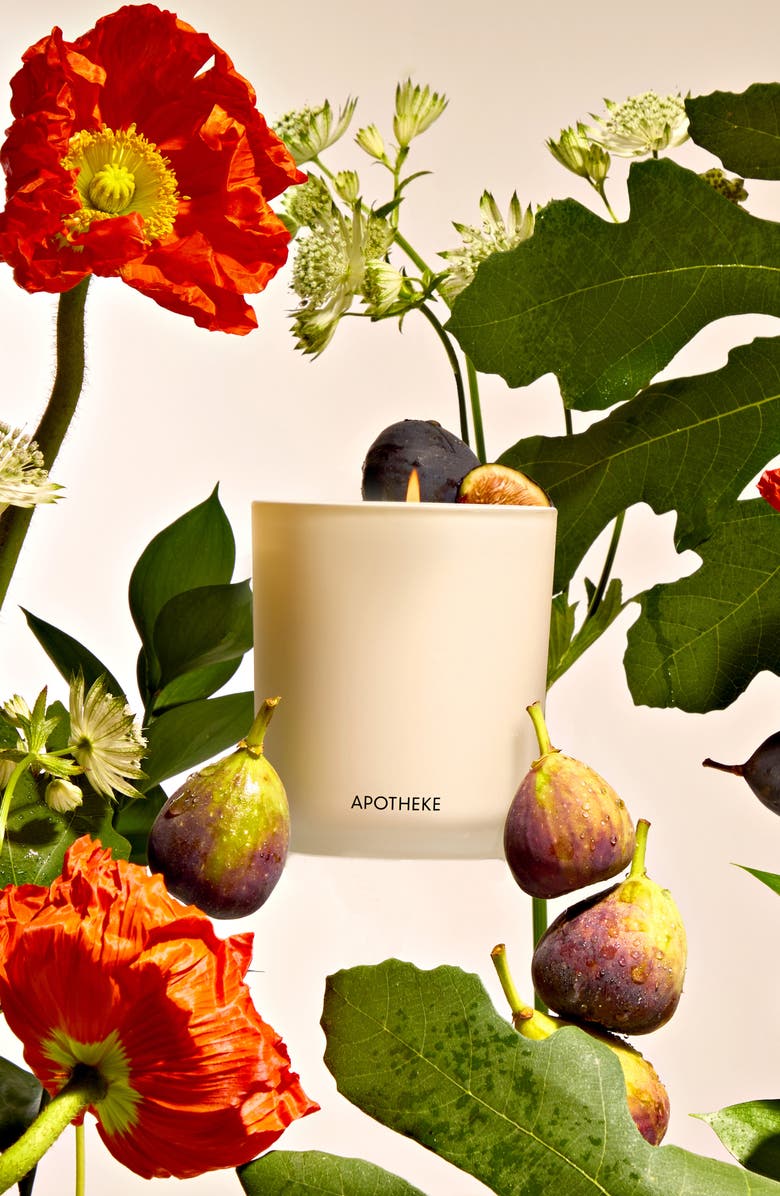 APOTHEKE Fig & Olive Leaf Classic Scented Candle, Alternate, color, 