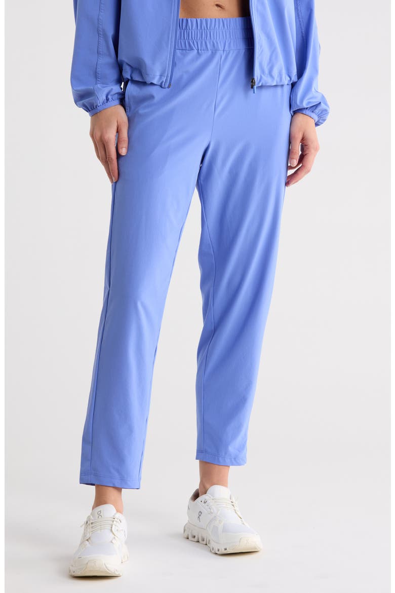 Interval Ankle Pants, Main, color, PURPLE BAJA