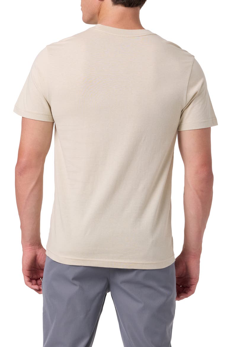 Briar Graphic Pocket T-Shirt, Alternate, color, LIGHT KHAKI