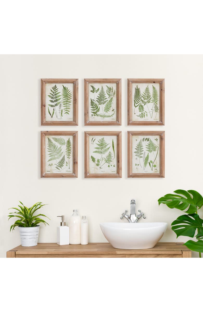 Napa Home & Garden Assorted Frond Study Petite Set of 6, Alternate, color, Green