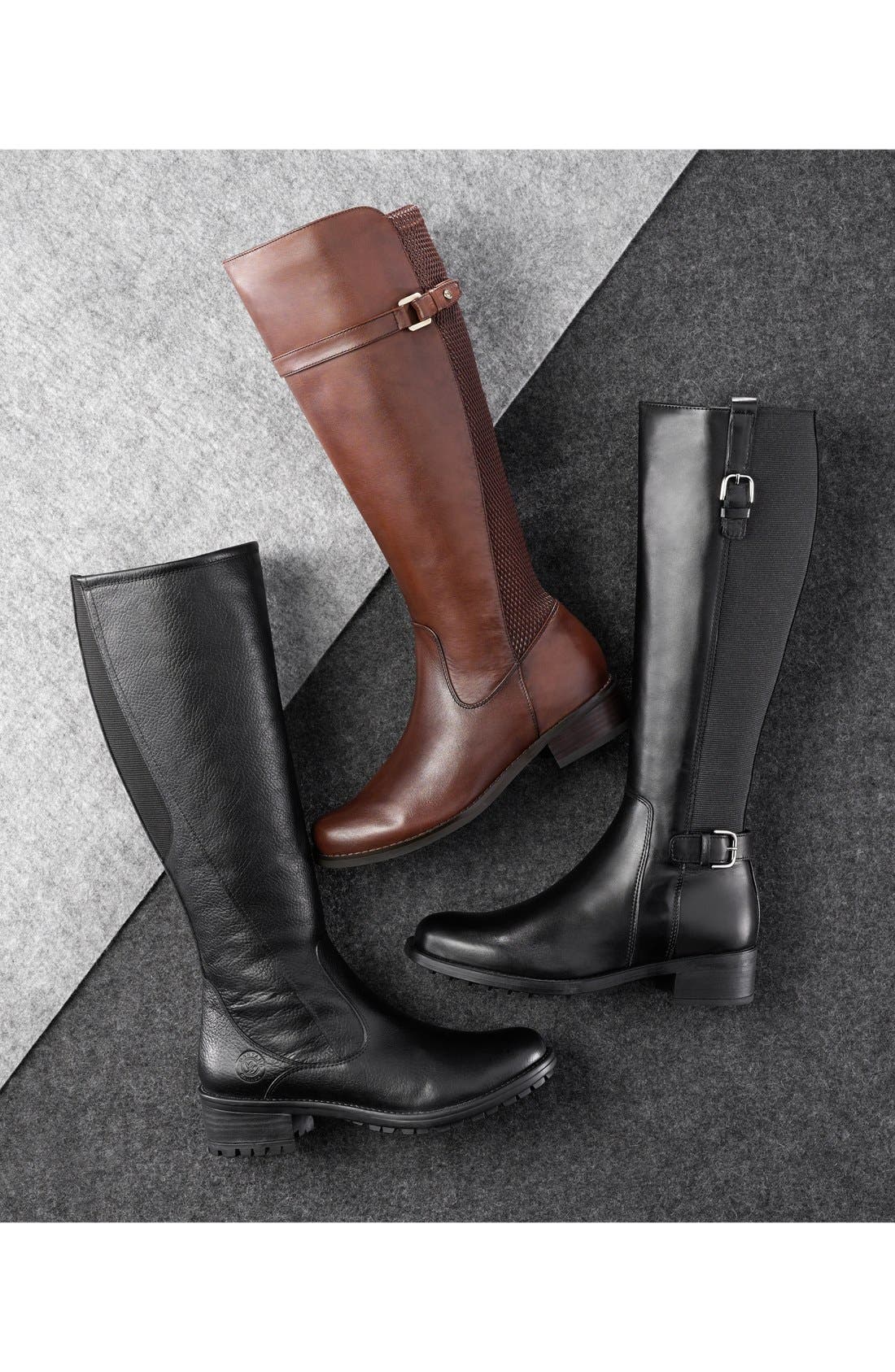 Blondo 'Viva' Waterproof Tall Boot, Alternate, color, 