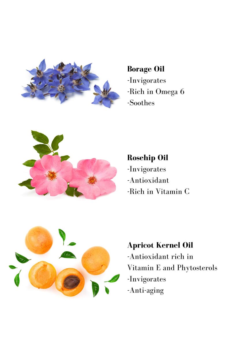 Leonor Greyl PARIS Régénérescence Naturelle Pre-Shampoo Treatment, Alternate, color, 