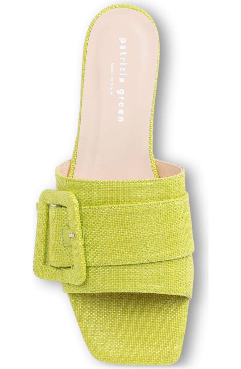 patricia green Bali Slide Sandal, Alternate, color, Lime Green Raffia