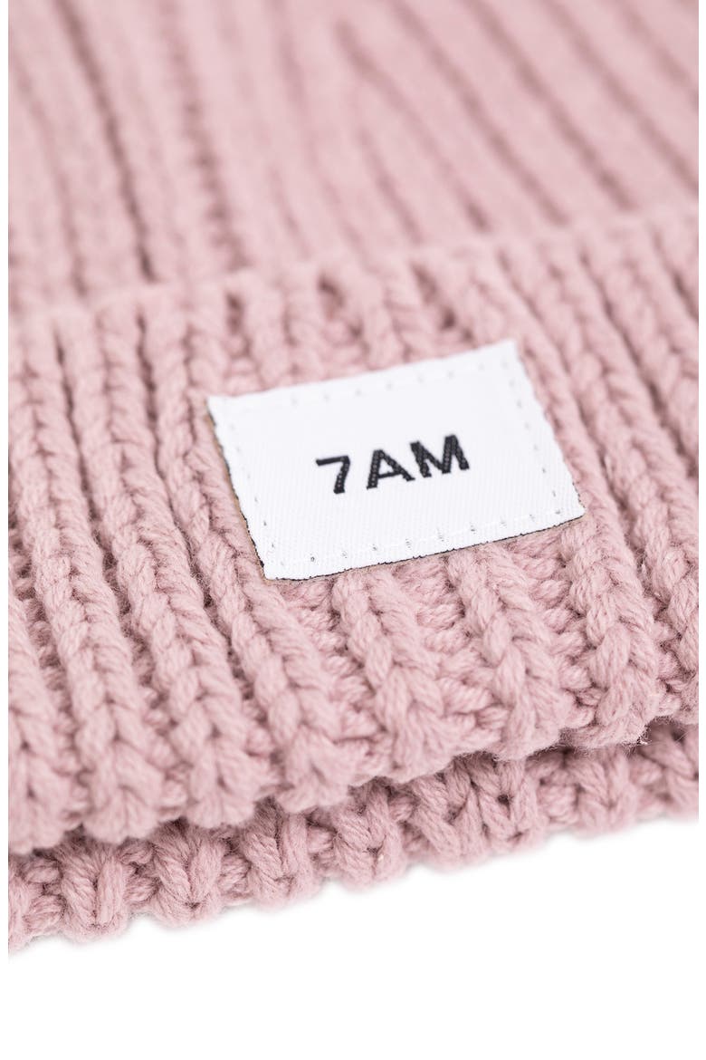Kids' Chunky Beanie, Alternate, color, ASH ROSE
