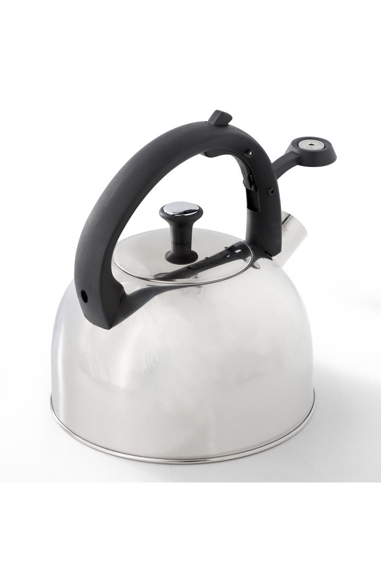Mr. Coffee Daneswell 2.1 Quart Stainless Steel Whistling Tea Kettle, Alternate, color, Metallic Silver