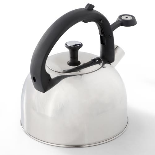 Mr Coffee Mr. Coffee Daneswell 2.1 Quart Stainless Steel Whistling Tea Kettle In Silver